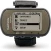 Garmin Foretrex 401