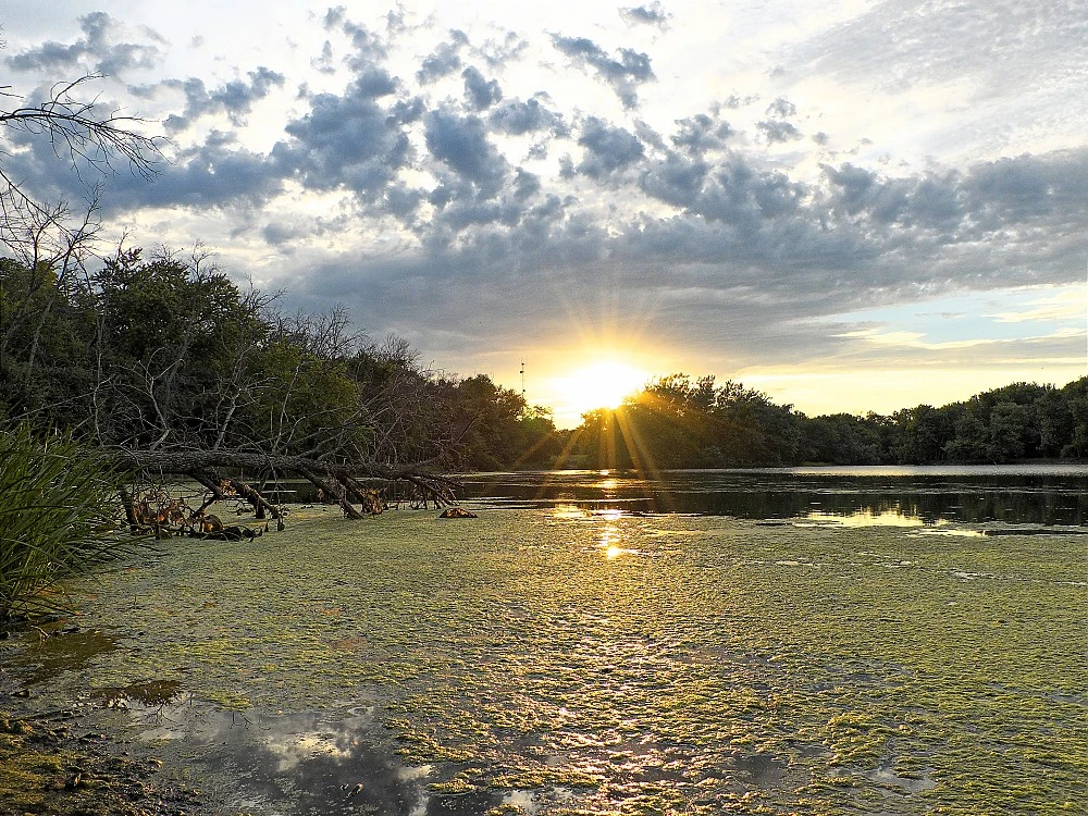 MSR Guardian Purifier - Image 13